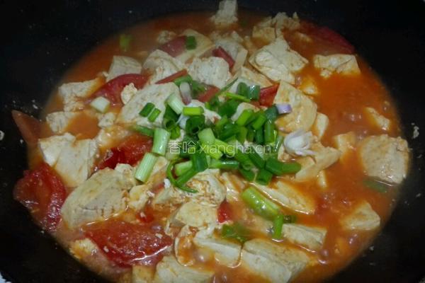 西红柿炖豆腐的做法图解4