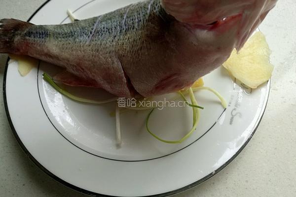 清蒸鲈鱼的做法图解4