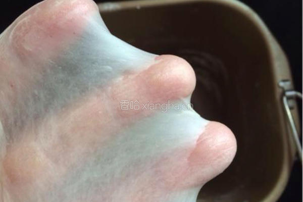 无油汤种双色排包的做法图解1
