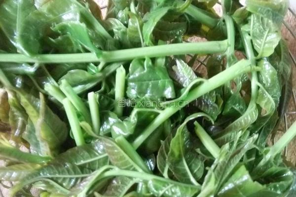 香椿芽拌豆腐的做法图解2