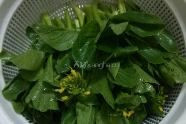 菜心馄饨汤的做法图解5