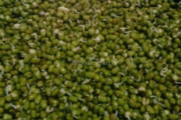 绿豆芽的做法图解5