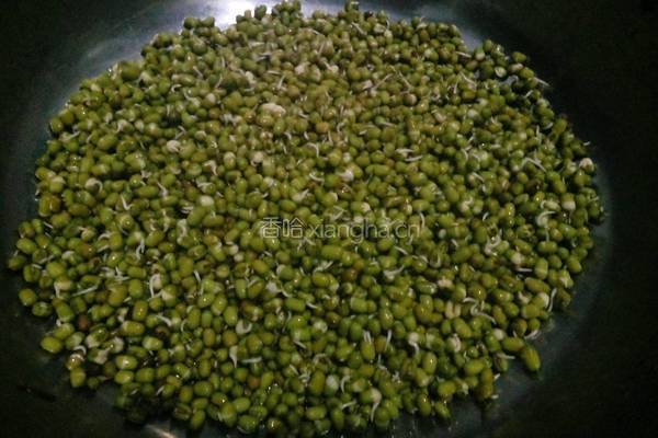 绿豆芽的做法图解4