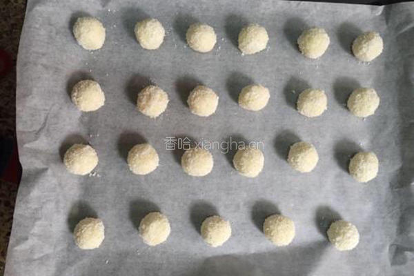 蛋白椰丝球的做法图解9