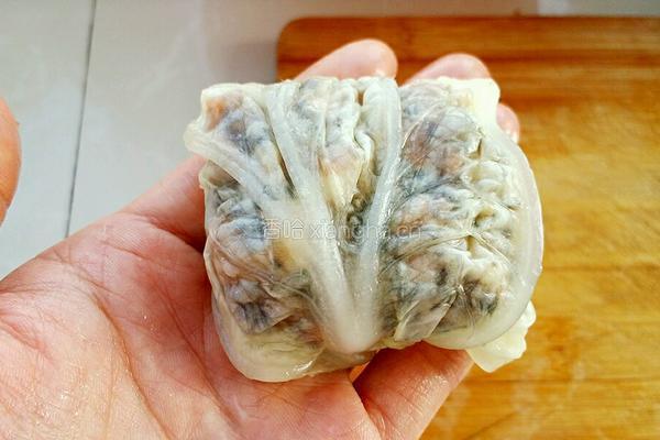 白菜包包（百财）的做法图解9