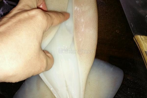 爆炒鲜鱿鱼的做法图解2
