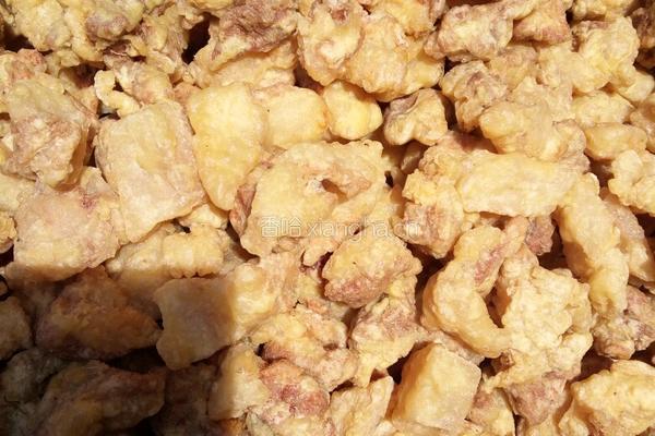 酥肉的做法图解5