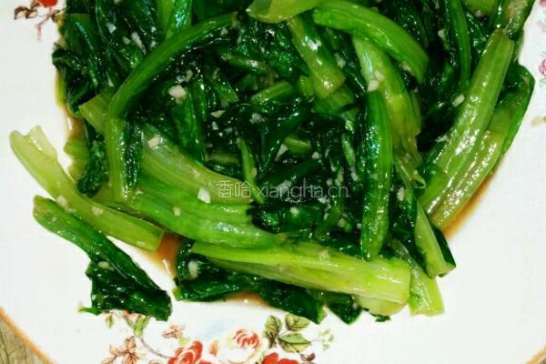 蒜香油麦菜的做法图解4