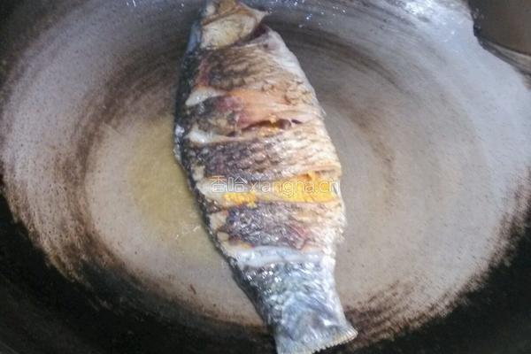 鲫鱼豆腐汤的做法图解3