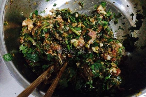 香菜大肉饺子的做法图解3