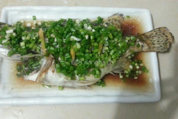 清蒸贵鱼的做法图解8