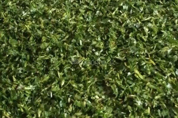 苜蓿菜卷的做法图解4