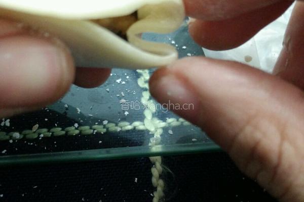 白菜猪肉饺子(麦穗饺子包法)的做法图解7