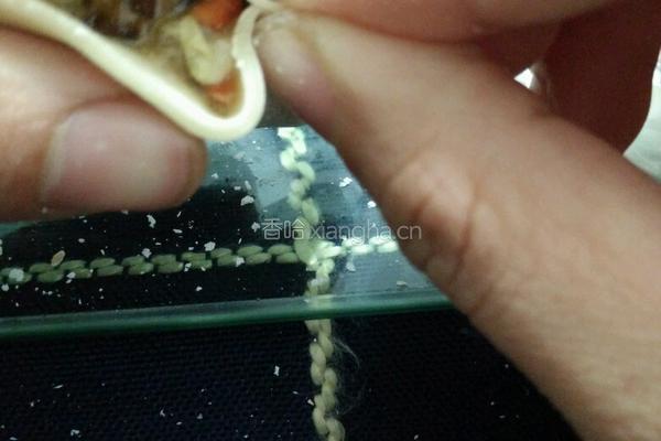 白菜猪肉饺子(麦穗饺子包法)的做法图解9