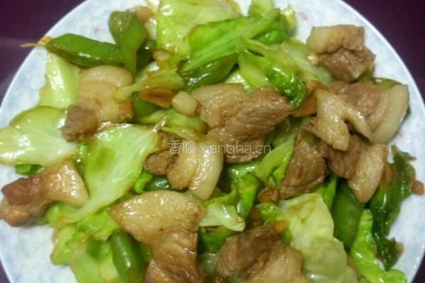 手撕包菜炒肉片