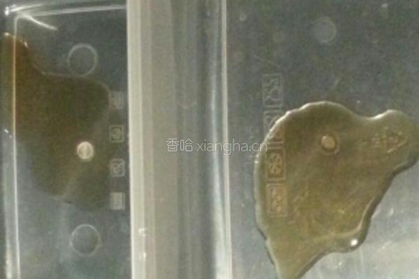 阿胶固元膏的做法图解11