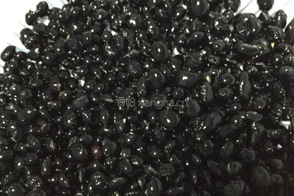 酱煮黑豆的做法图解3