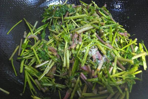 野芹菜炒香肠的做法图解6