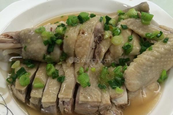 葱油鸡的做法图解9