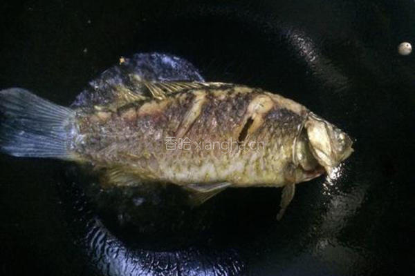 茄香黄豆鱼的做法图解4