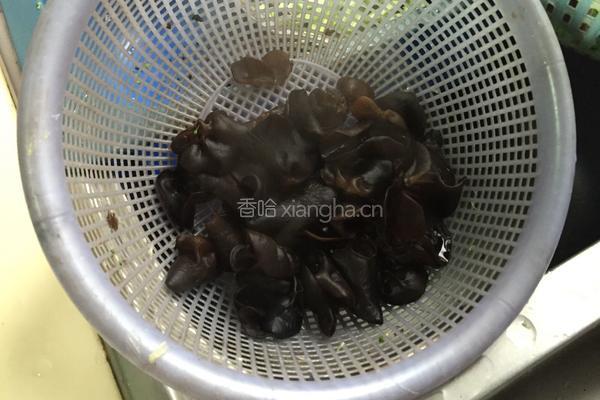 凉拌黑木耳的做法图解4