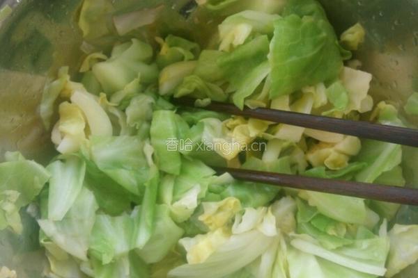 凉拌圆白菜的做法图解3