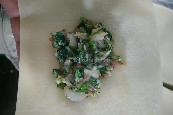 荠菜虾肉大馄饨的做法图解4