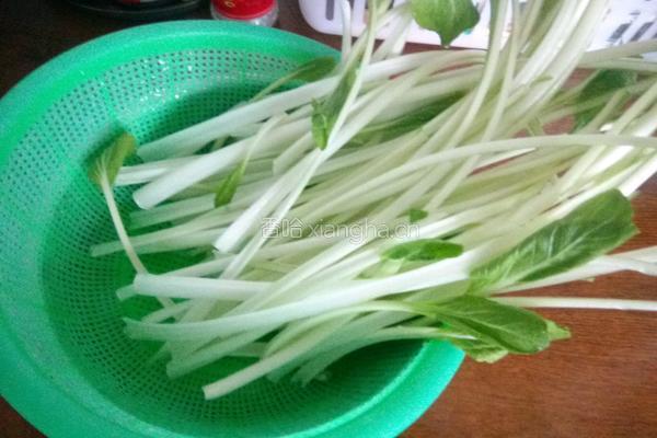 腌菜花炒肉的做法图解2