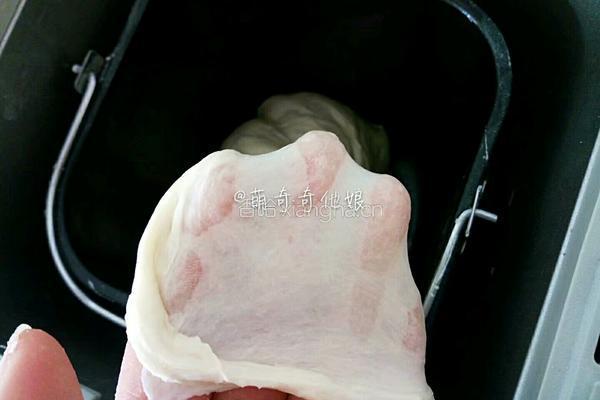 毛毛虫面包的做法图解3