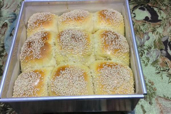 奶酪面包的做法图解15