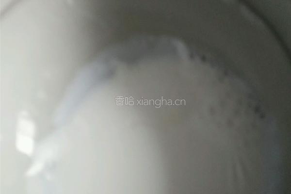 双皮奶的做法图解5