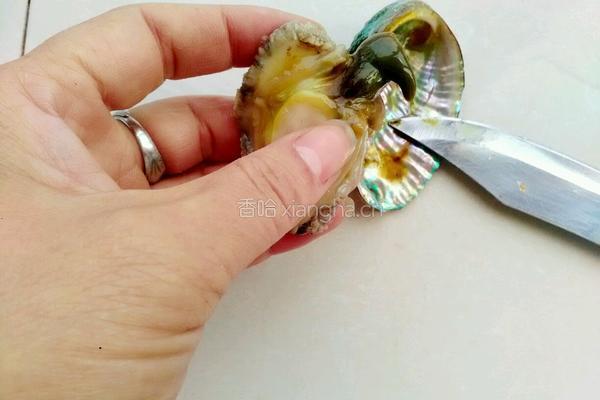 鲜鲍蛋羹的做法图解3