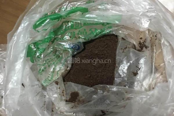 盆栽蛋糕的做法图解6