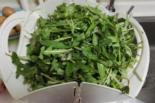 凉拌蒲公英菜的做法图解2