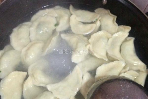 韭菜鸡蛋饺的做法图解8