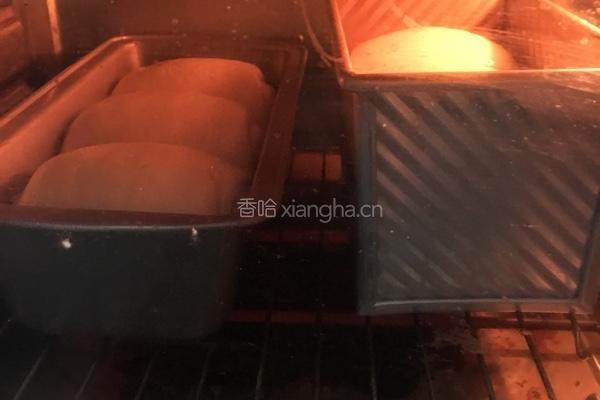 100％中种醇奶吐司的做法图解16