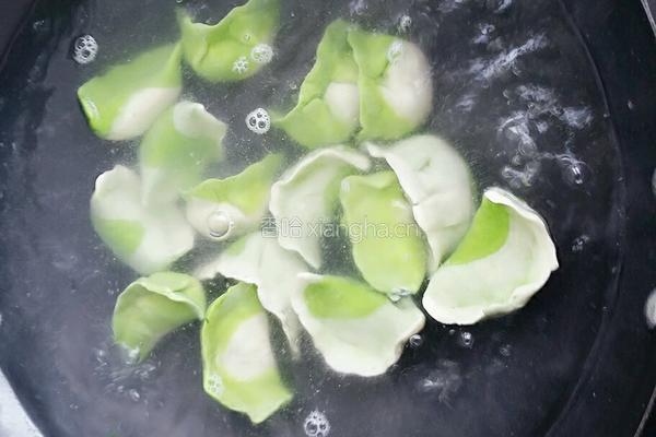 茴香苗猪肉水饺的做法图解8