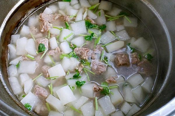 清炖牛肉萝卜汤的做法图解5