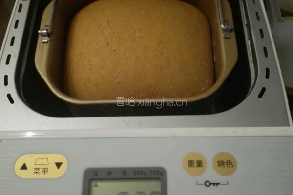 咖啡巧克力豆全麦土司的做法图解5