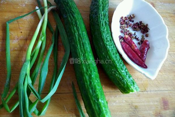 凉拌拍黄瓜的做法图解1