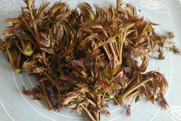 嫩芽香椿拌黄豆的做法图解1