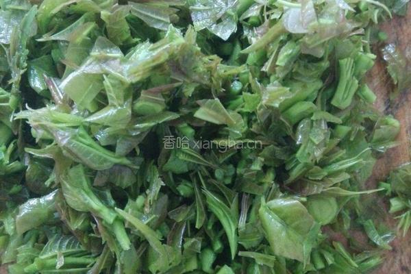 香椿头煎蛋的做法图解2
