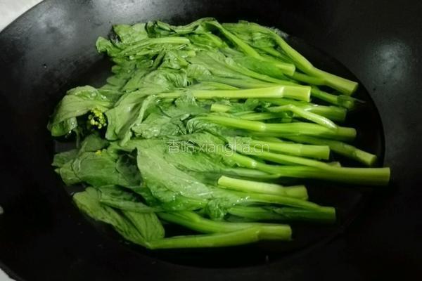 蚝油菜心的做法图解4