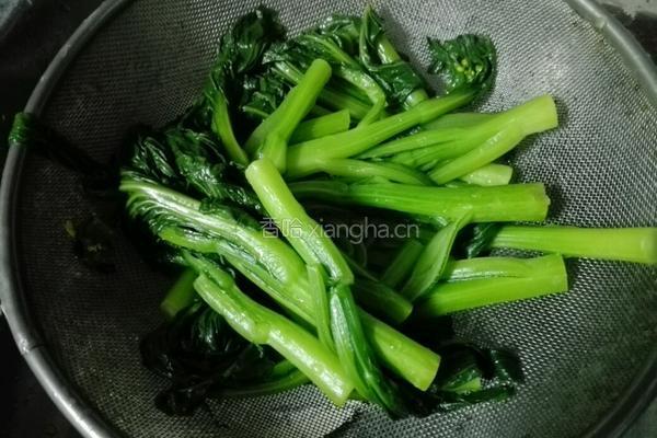 蚝油菜心的做法图解5