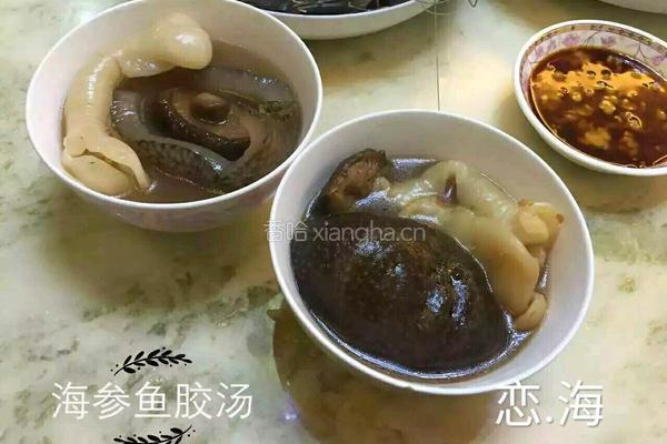 海参（球参）鱼胶养生汤的做法图解8