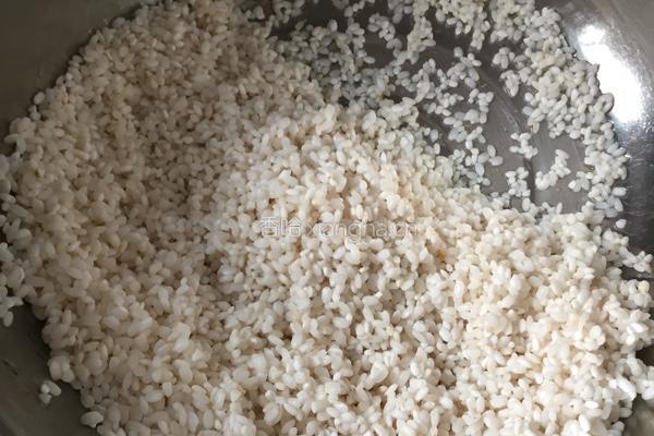 糯米香菇肉圆的做法图解1