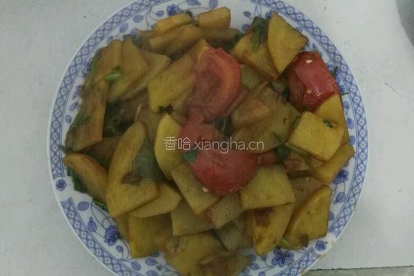 番茄土豆家常菜的做法图解6