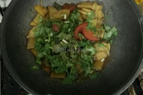番茄土豆家常菜的做法图解5