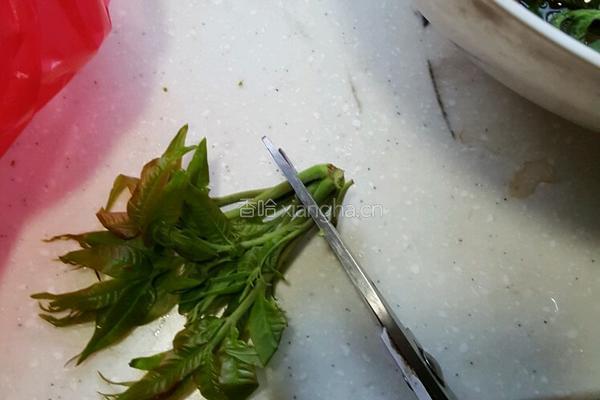 香椿芽炒鸡蛋的做法图解1