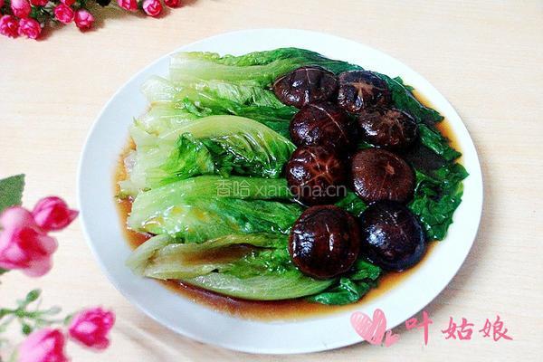蚝油香菇扒生菜